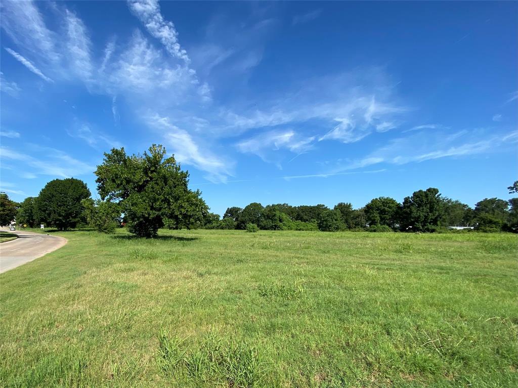 a view of a field with an trees