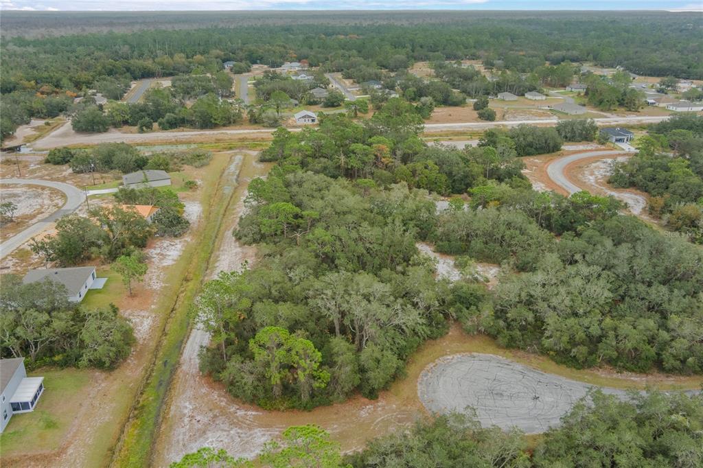 an aerial view of residential houses with outdoor space and trees