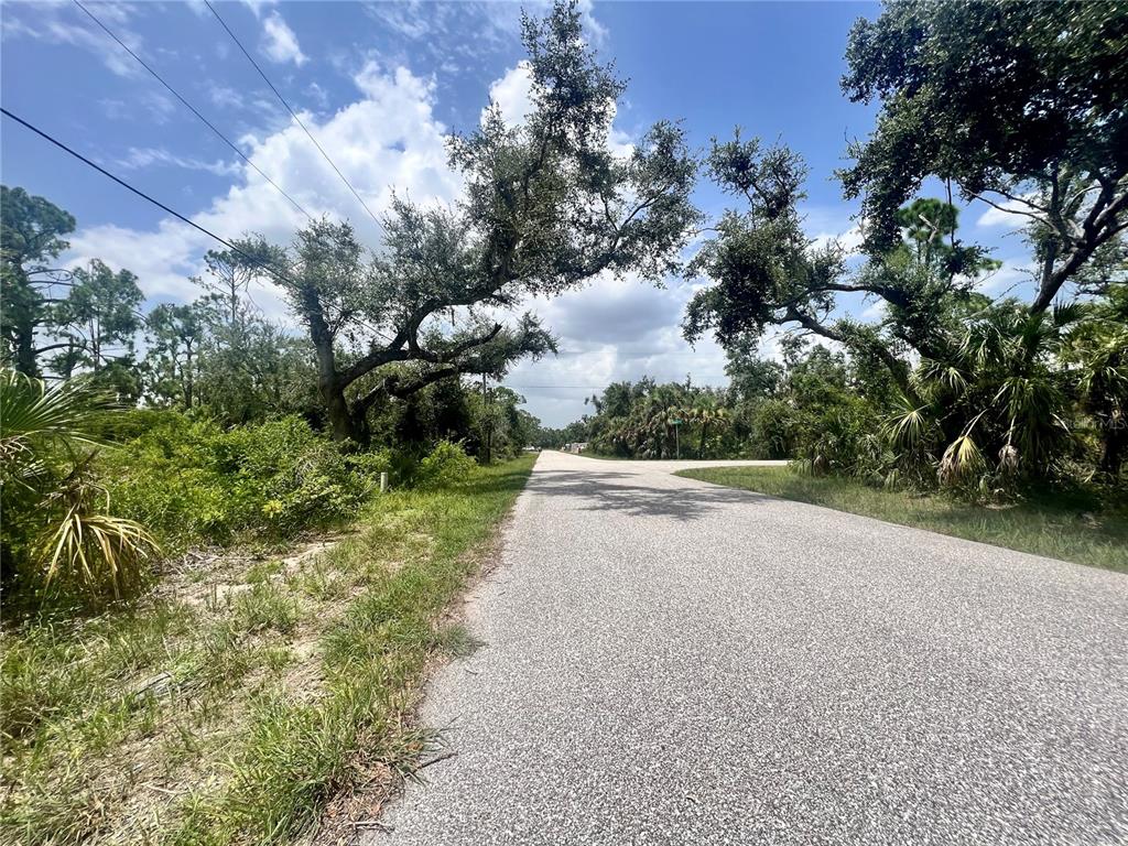 a view of road with large trees