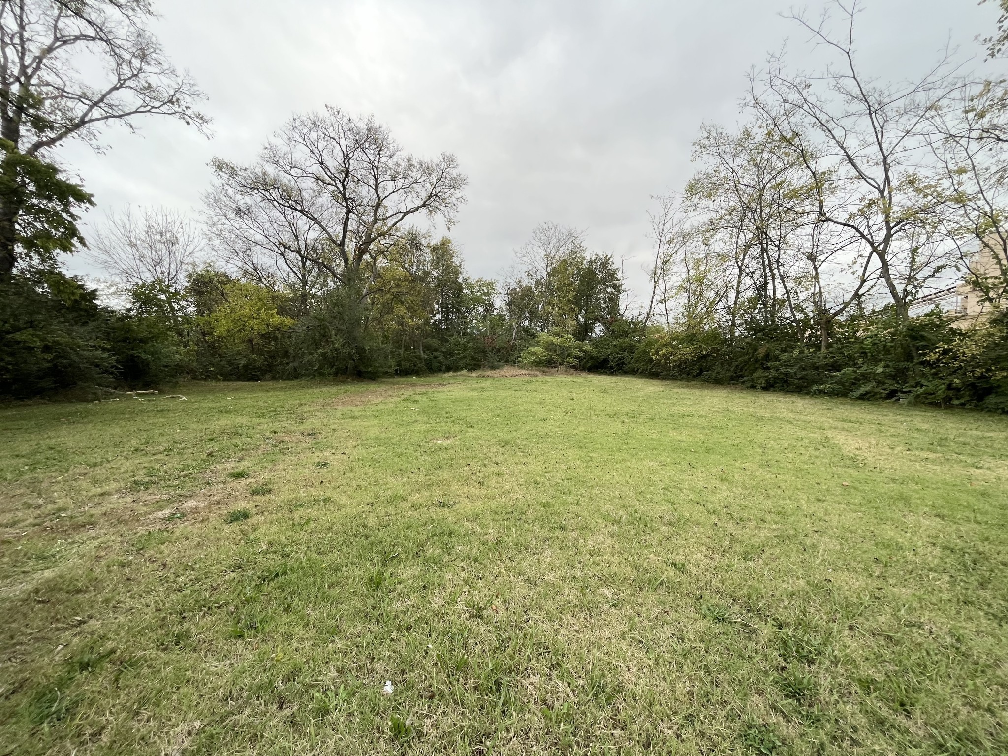 a view of a field with a trees in the background