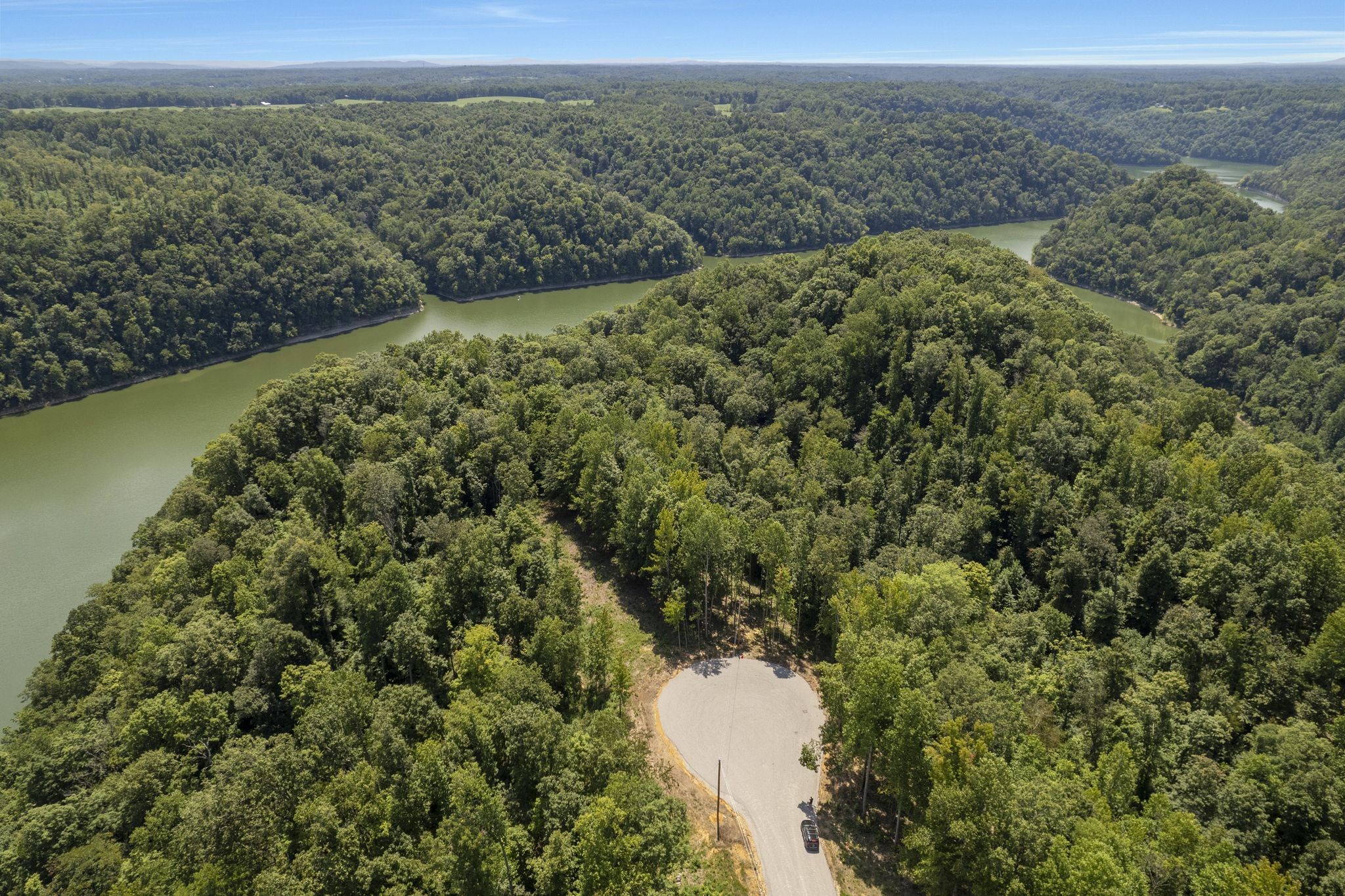 a view of a forest with a mountain