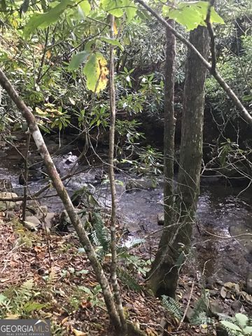 $150,000 | 0 Big Creek | Smithbridge Township - Macon County