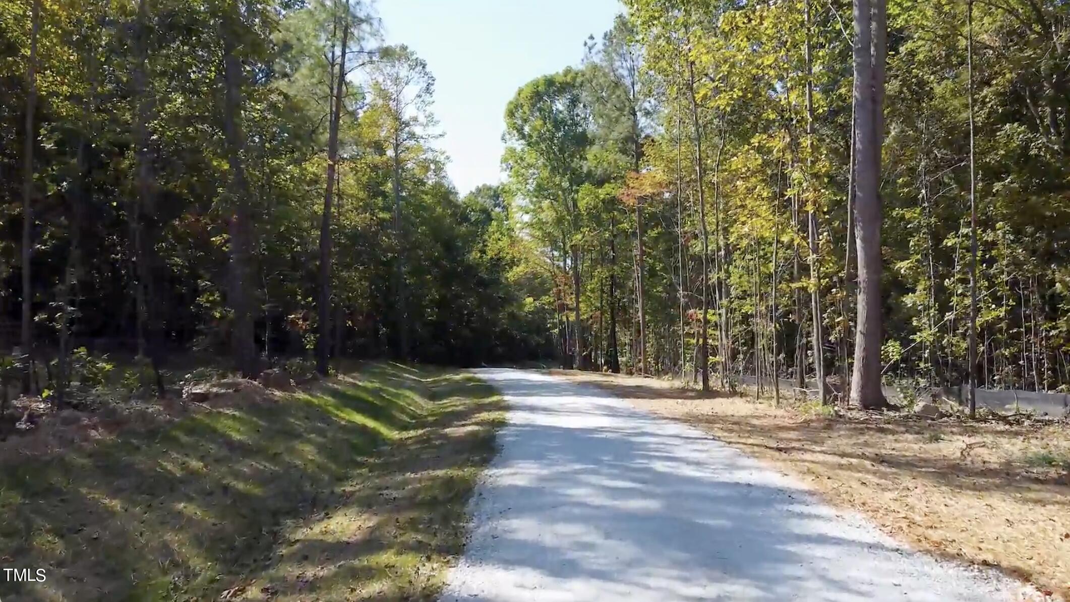 a view of outdoor space with trees