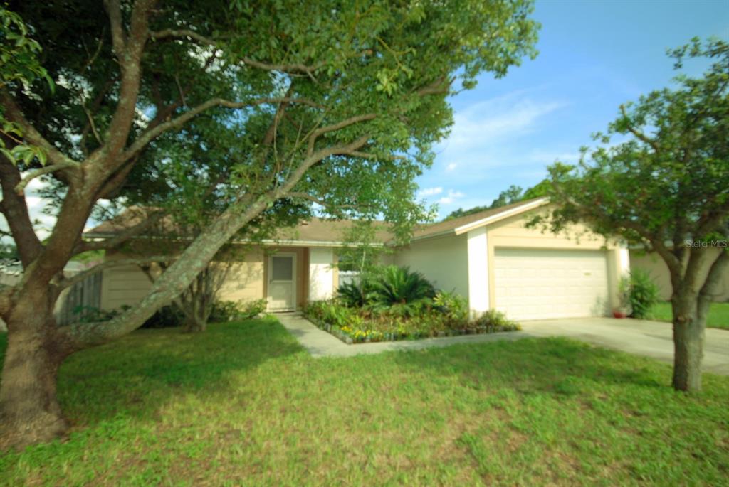 a front view of house with yard and green space