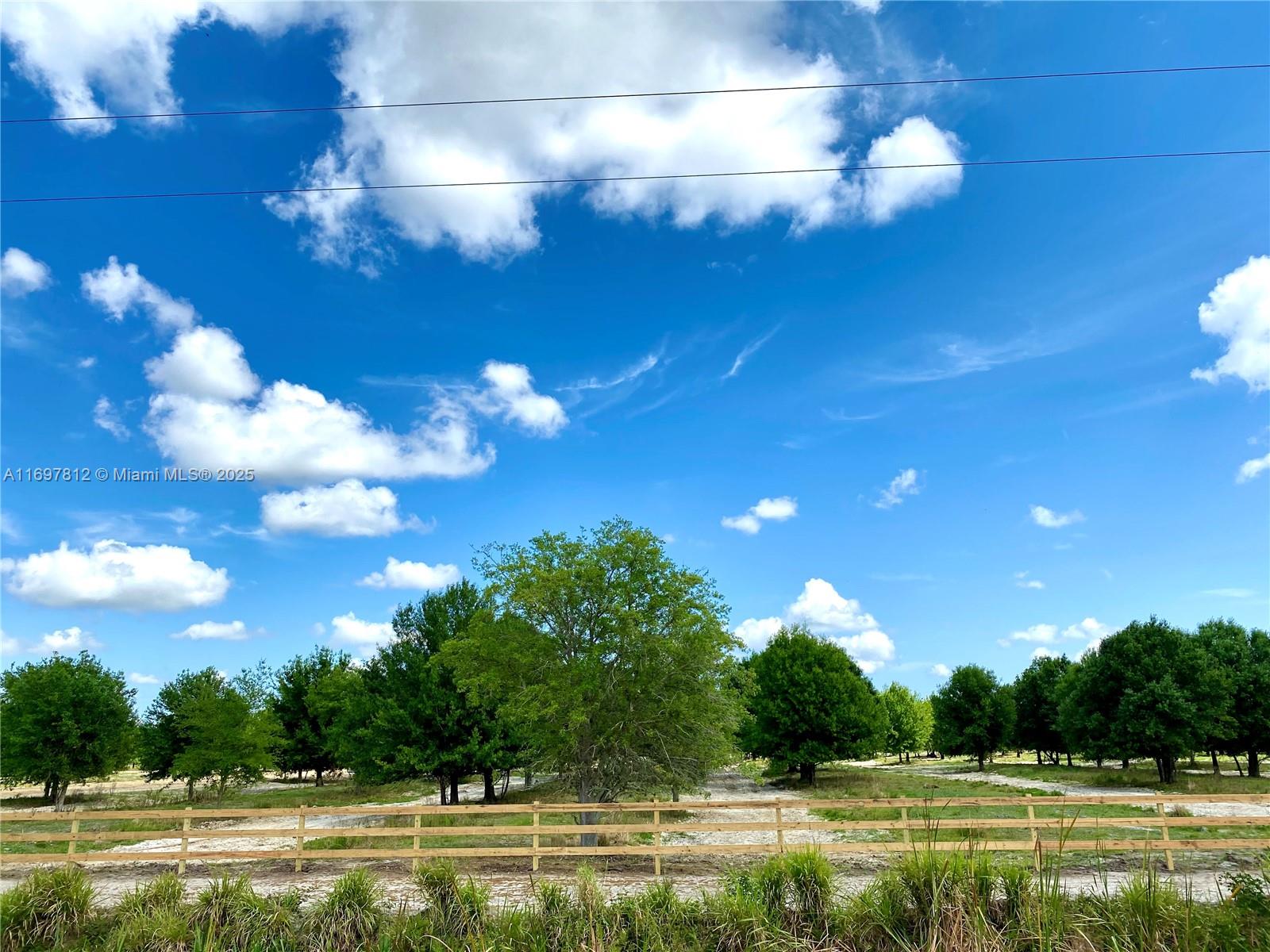 a view of a big yard with lots of green space