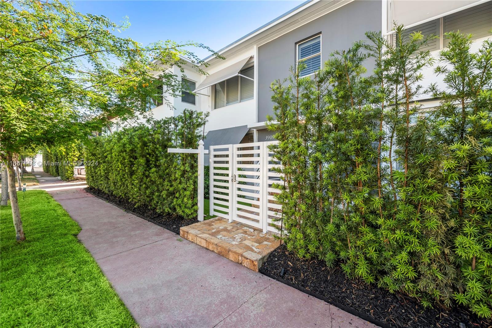 a view of a yard with potted plants