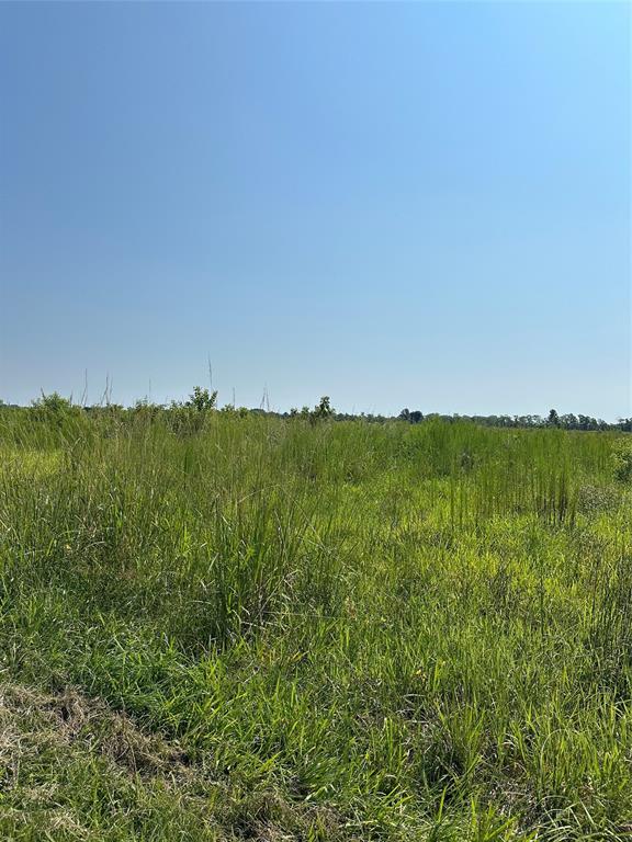 a view of a lush green space with sea