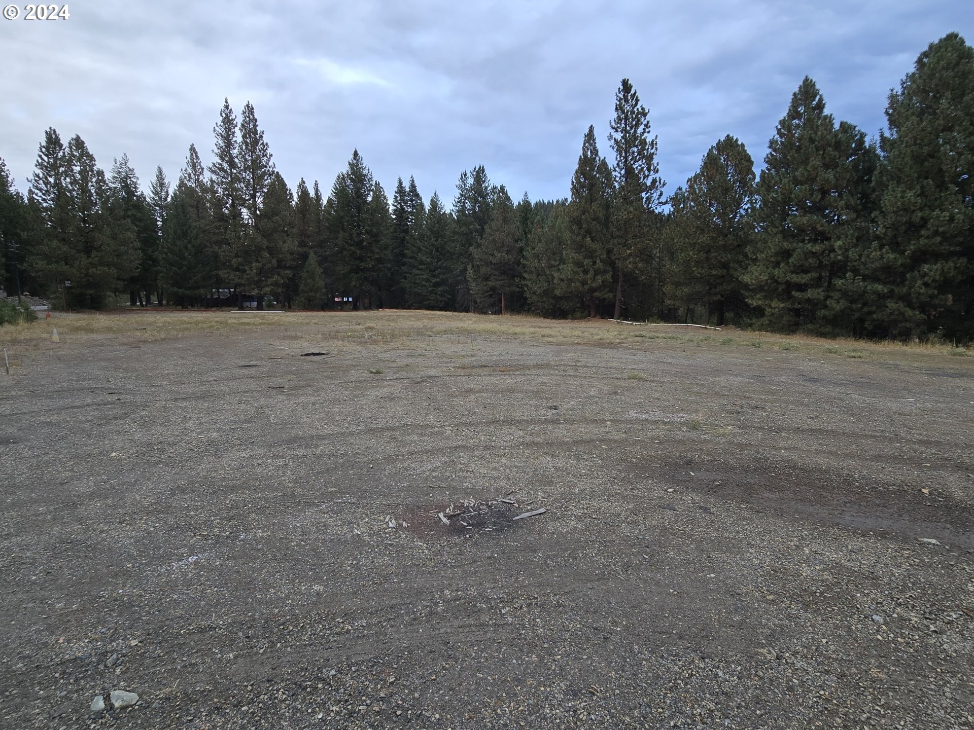 a view of a dry yard with trees in the background