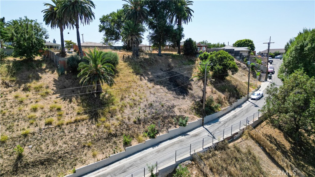 a view of a yard with palm trees