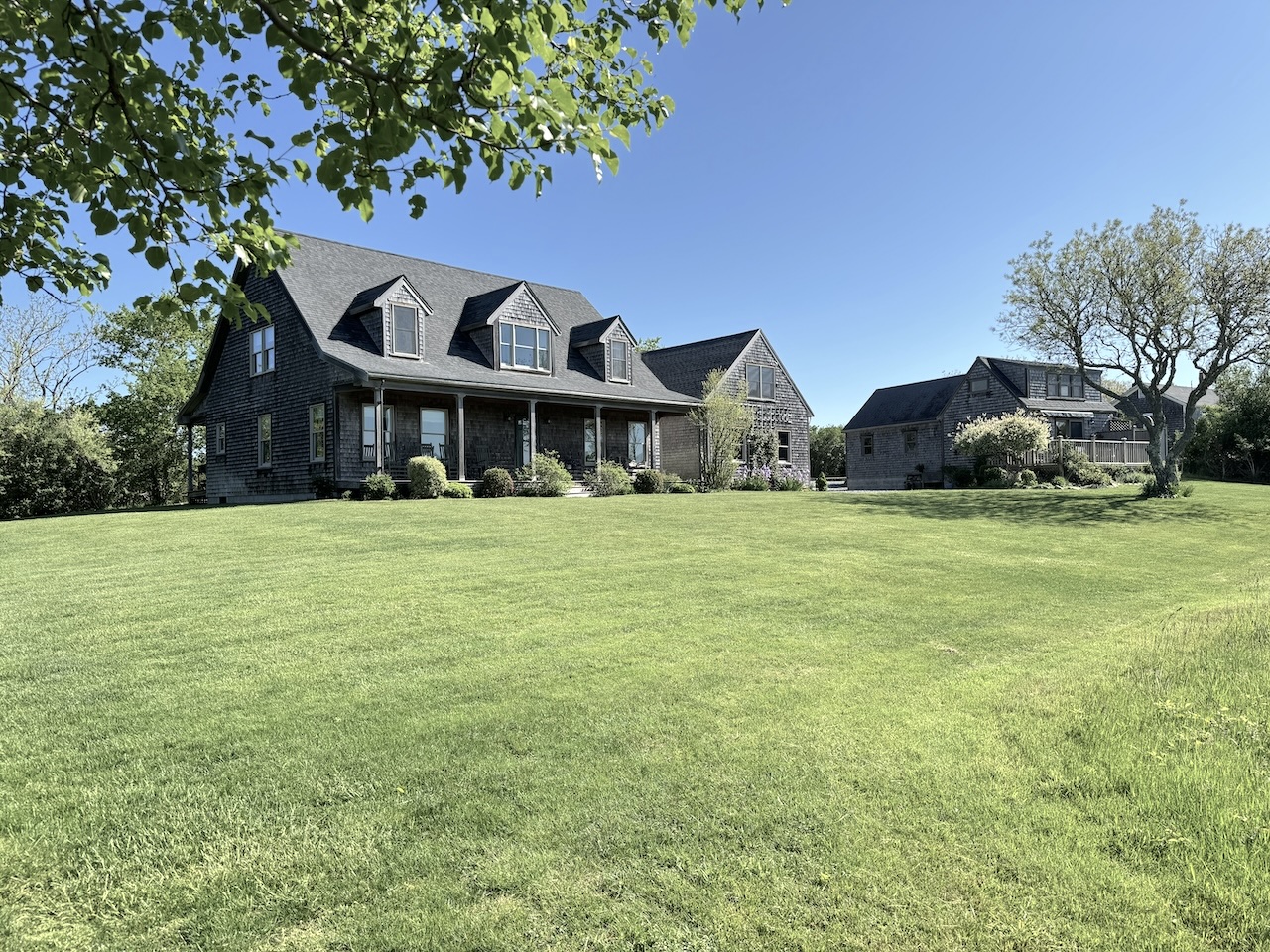 a front view of house with yard and green space