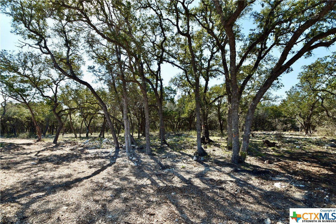 a view of outdoor space with trees