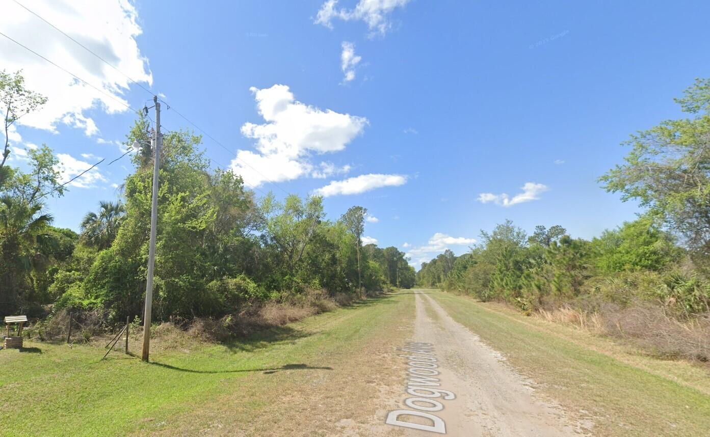 a view of a pathway with a yard