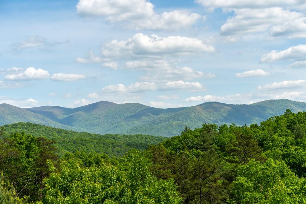 a view of a mountain range with lush green forest