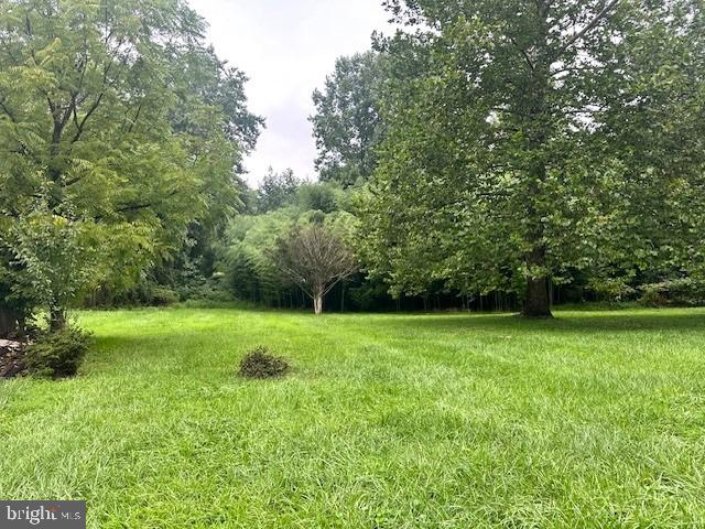 a view of a lush green space