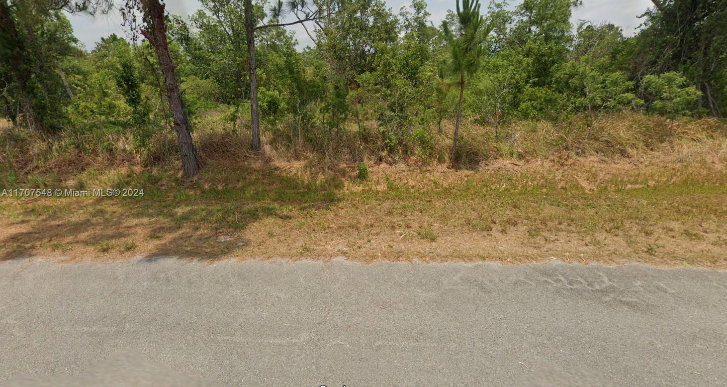 a view of a yard with a tree