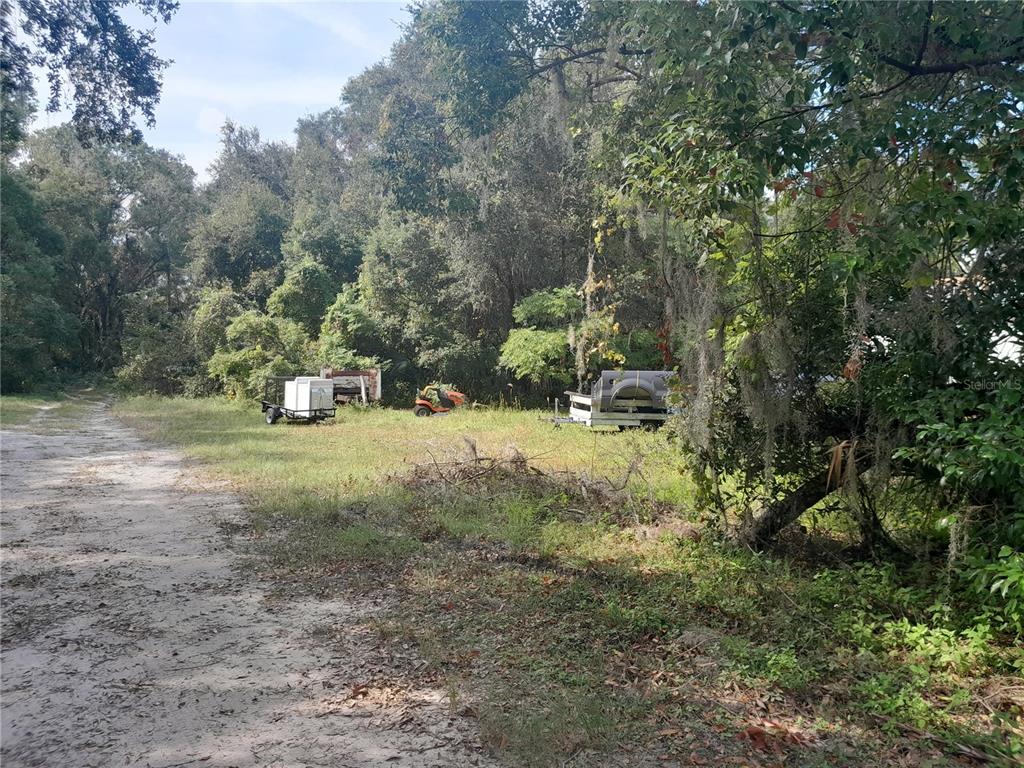 a view of outdoor space with trees