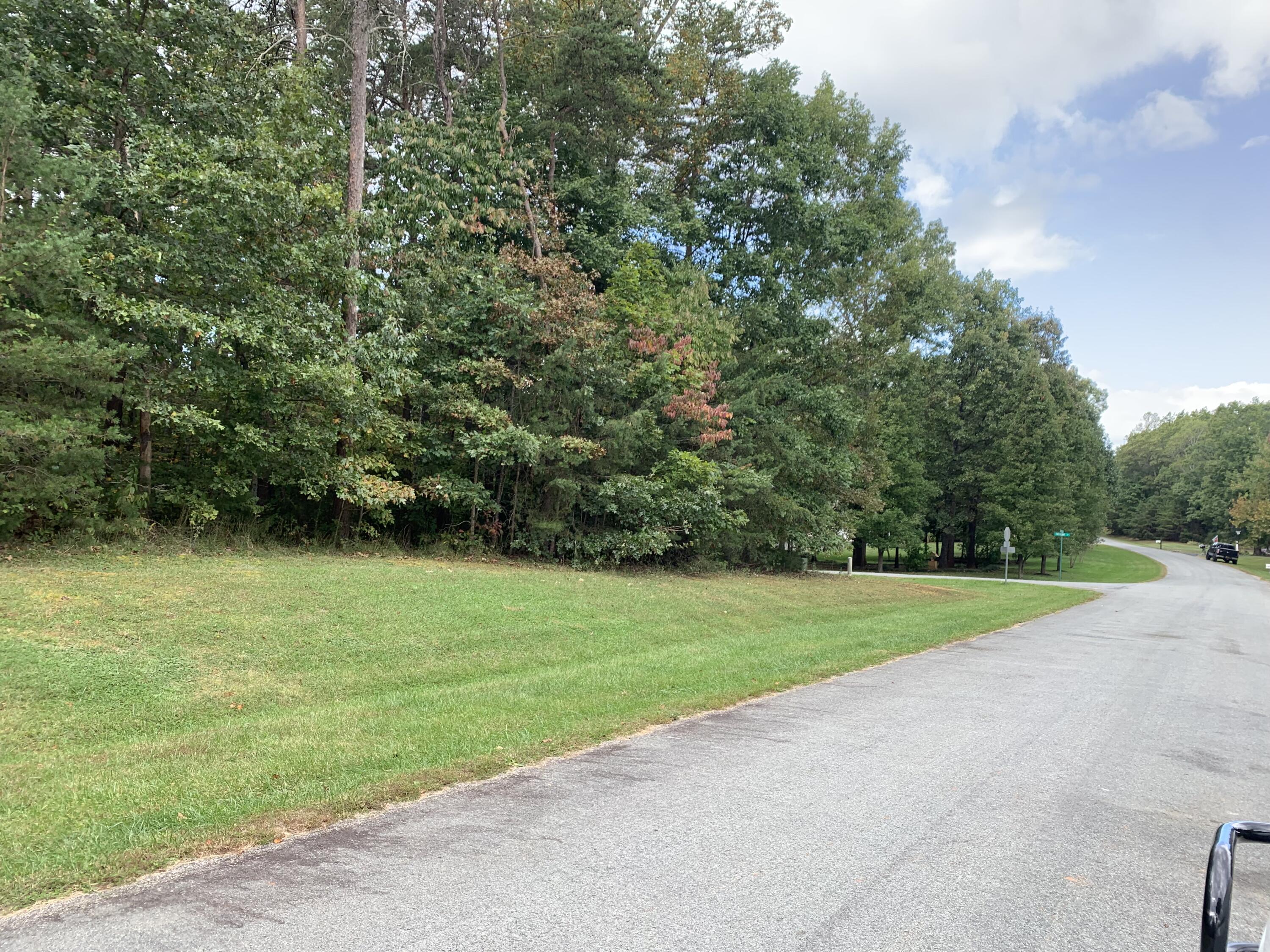 a view of a field with a yard