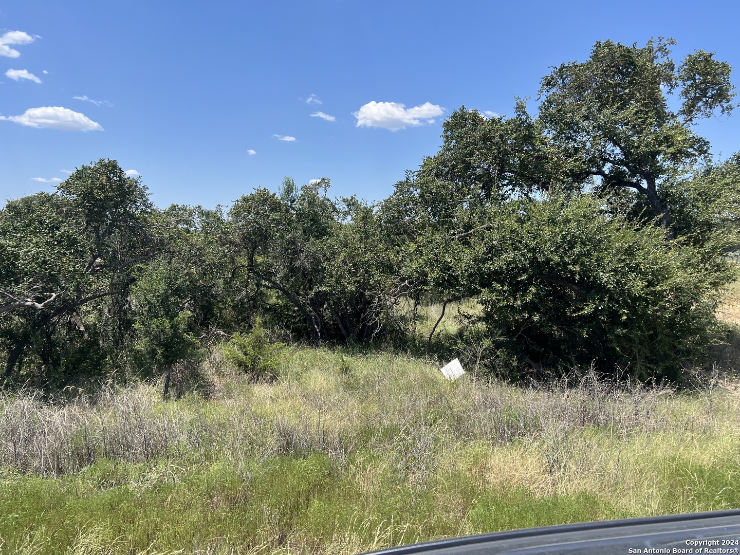 a view of a yard with a tree