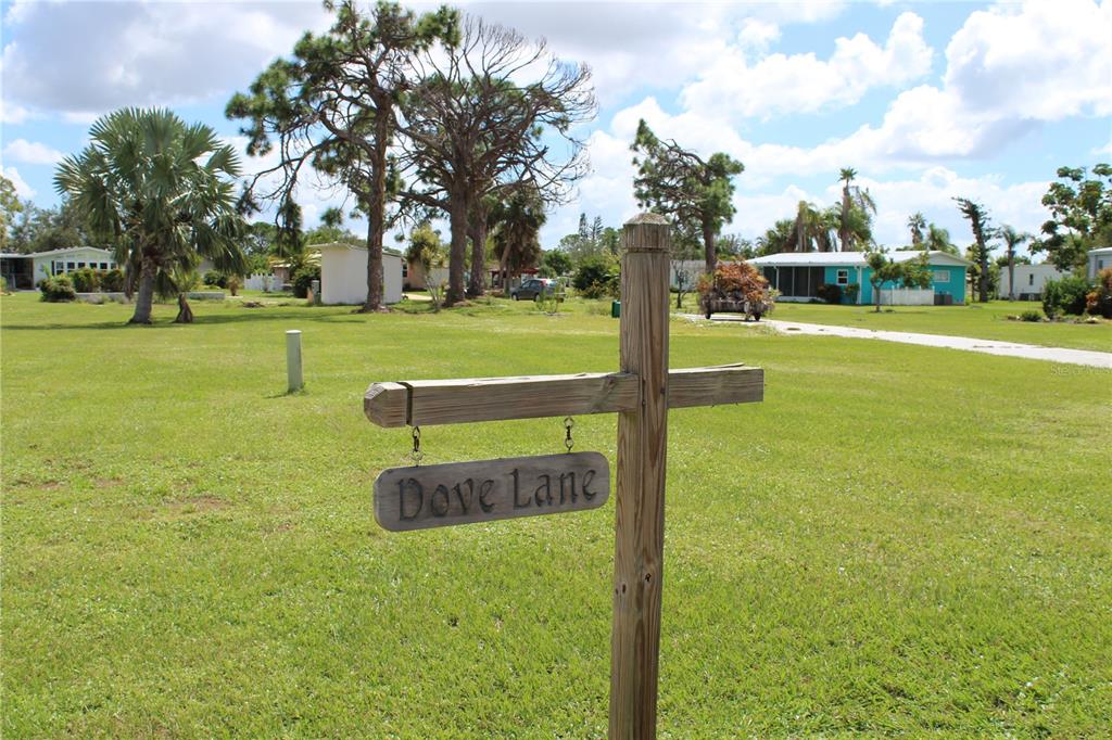 Dove Lane