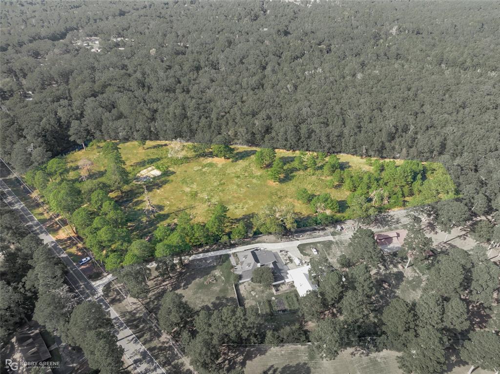 a view of a bunch of trees and bushes