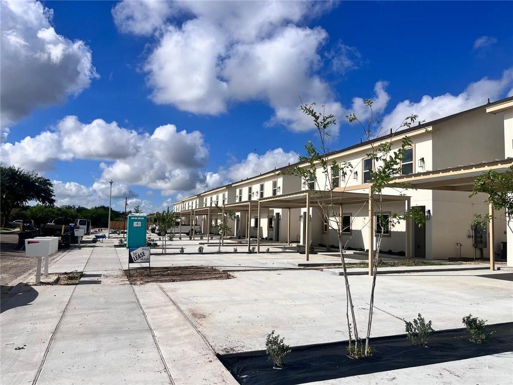 a outdoor space with lots of palm trees