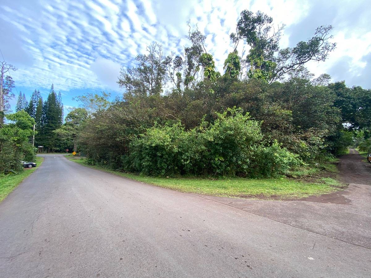 a view of a plants with a tree