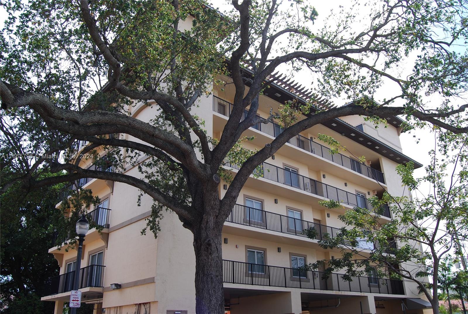 a large tree in front of a building