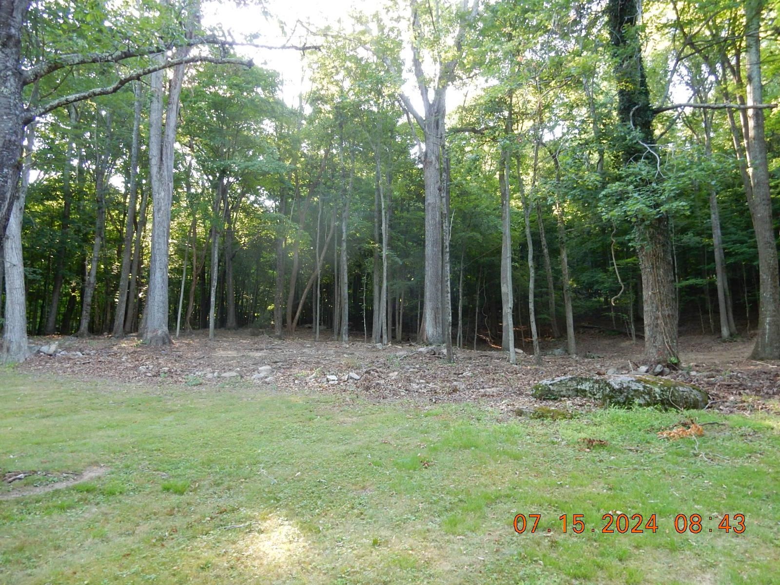 a view of outdoor space with trees all around