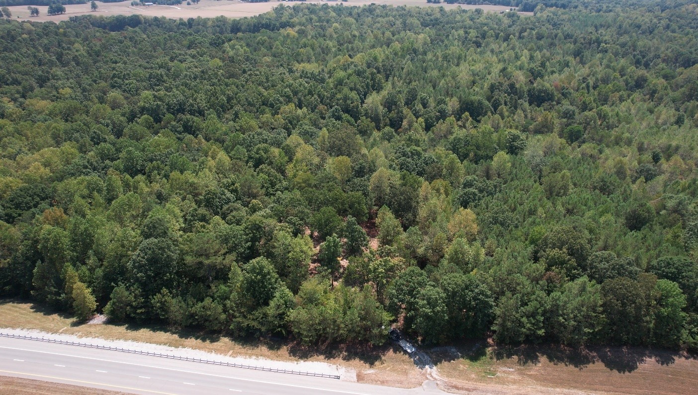 a view of a yard covered with trees