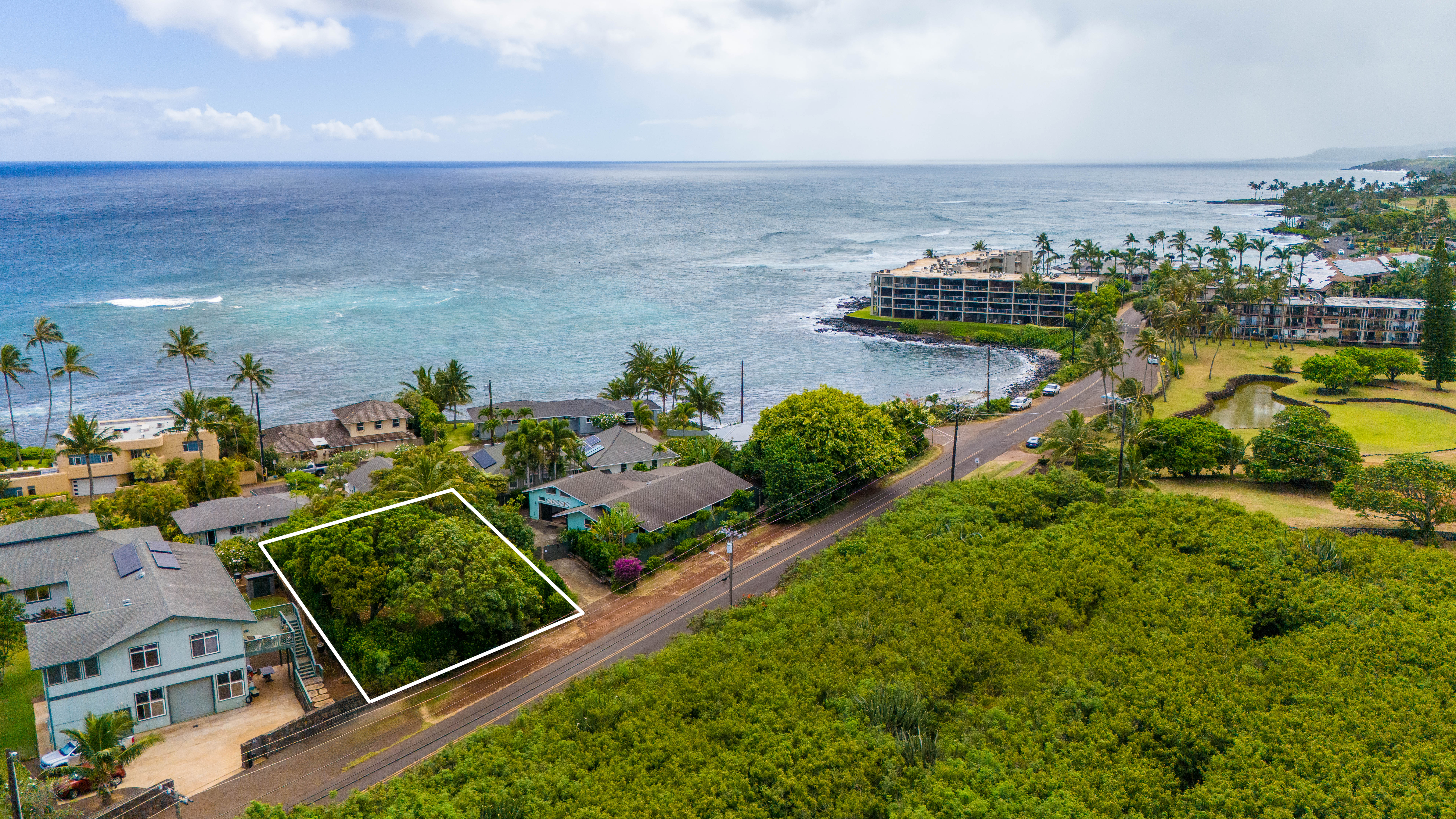 an aerial view of a house with a garden and lake view