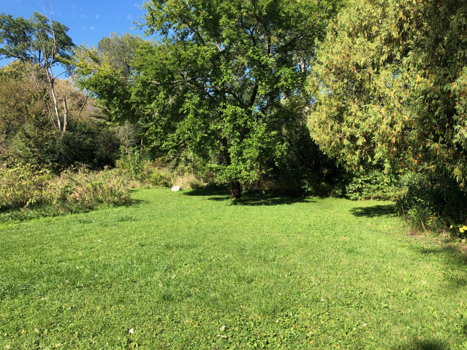 a view of yard with green space