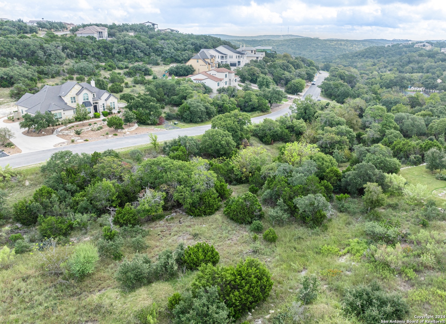 an aerial view of residential houses with outdoor space and trees