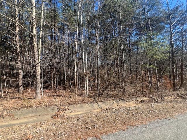 $19,900 | 0 Lee's Ridge Road