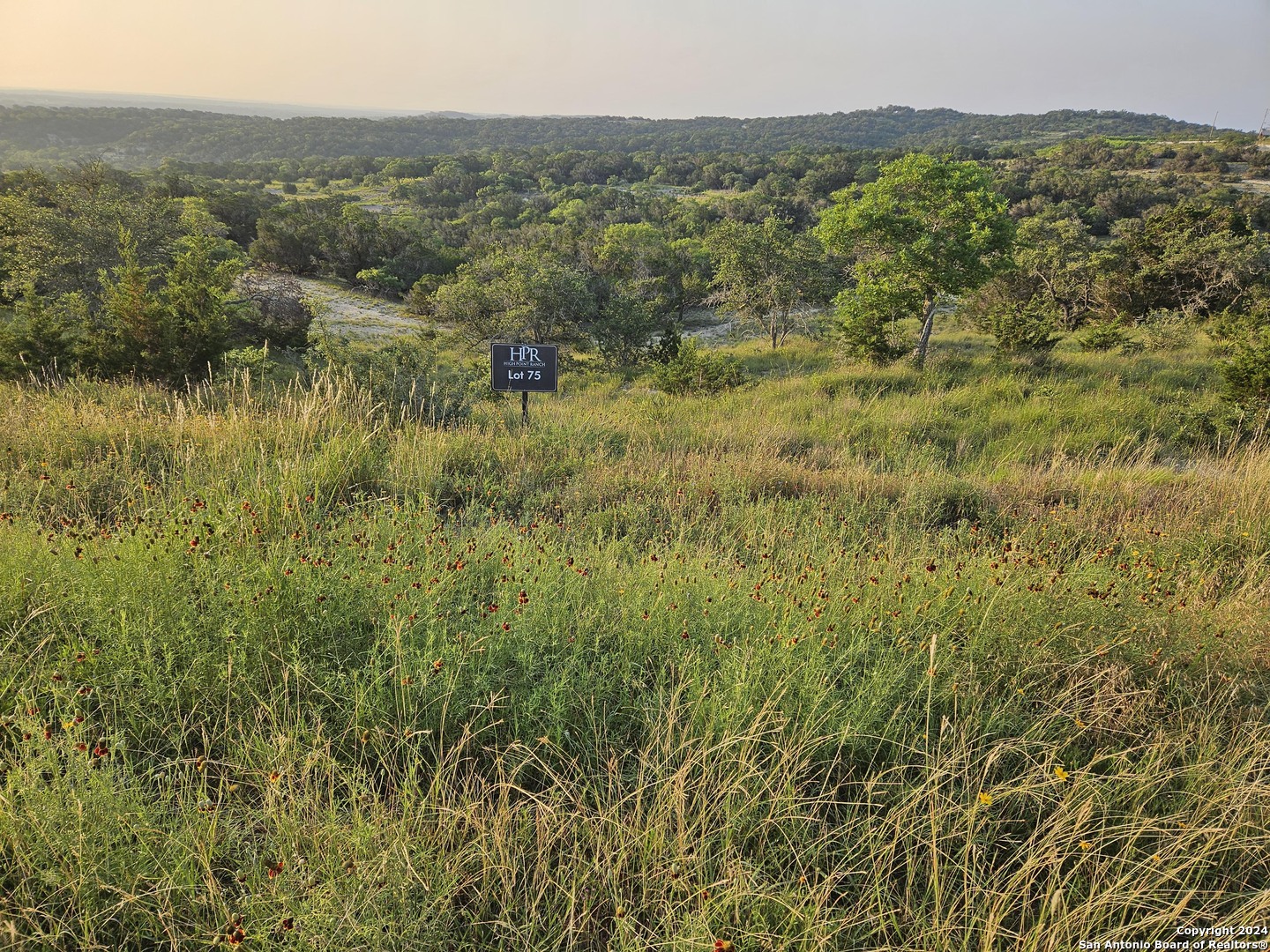 a view of a lush green field