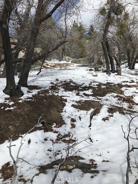 a view of a yard with snow on the road