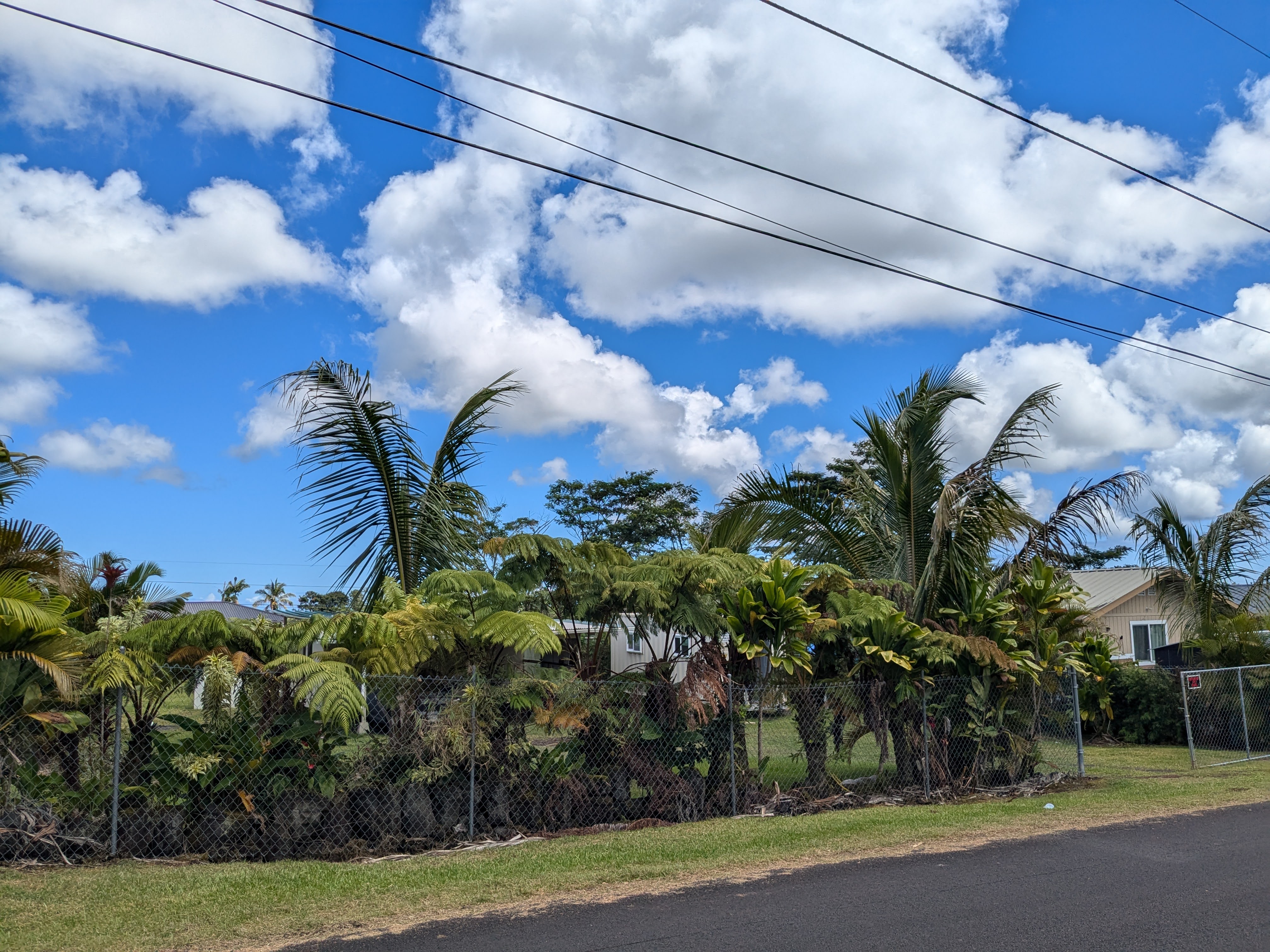 a view of a yard