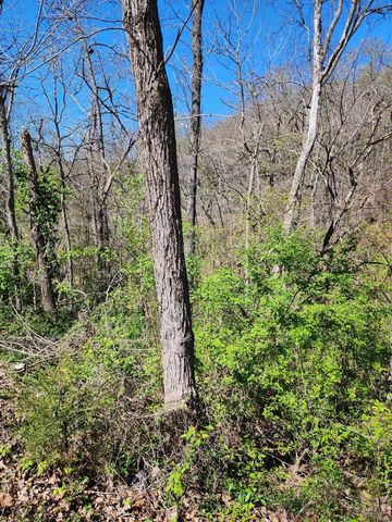 $99,000 | 0 Dodd Road | Waynesville