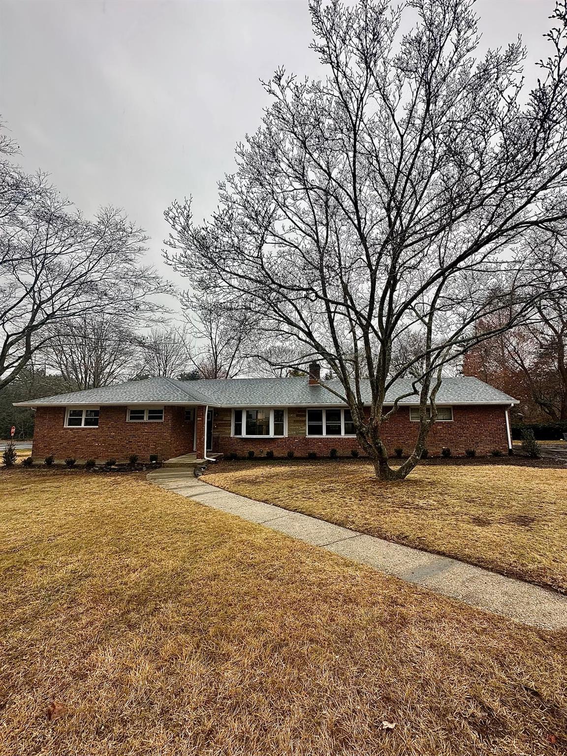 a view of yard with tree in front of it