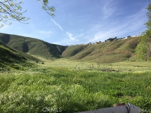 a view of a lush green forest with mountains in the background