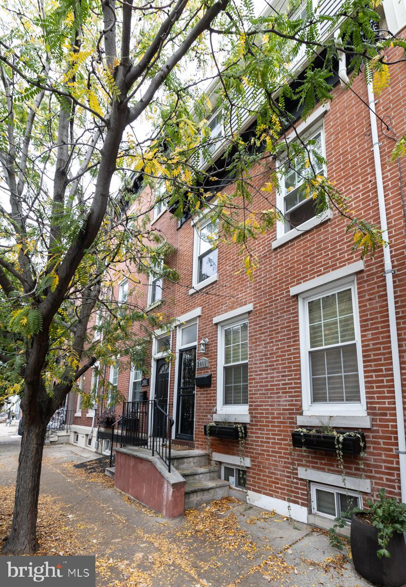 a tree in front of a brick house with large windows