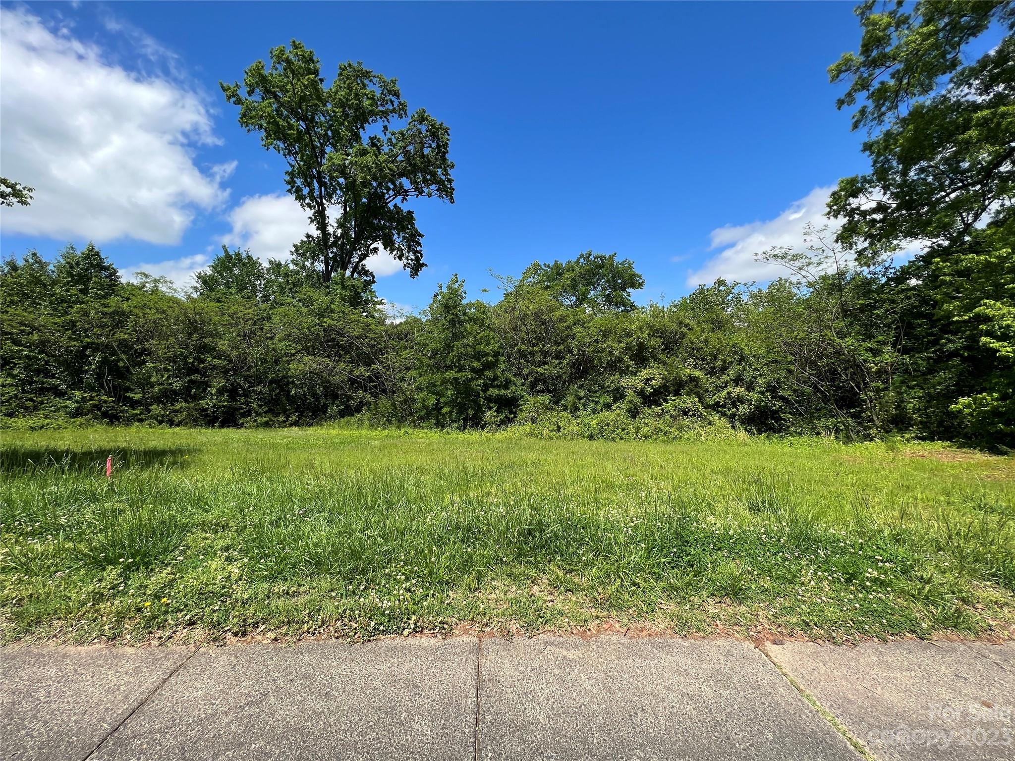 a view of a garden with a tree