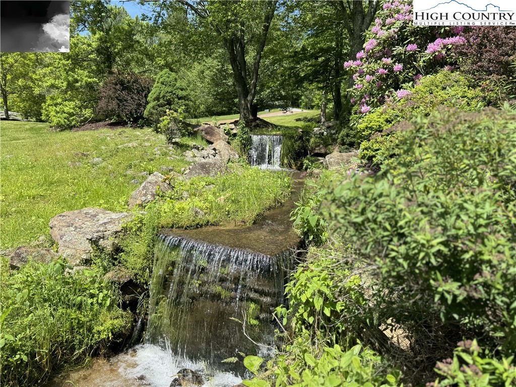 a view of a garden with plants