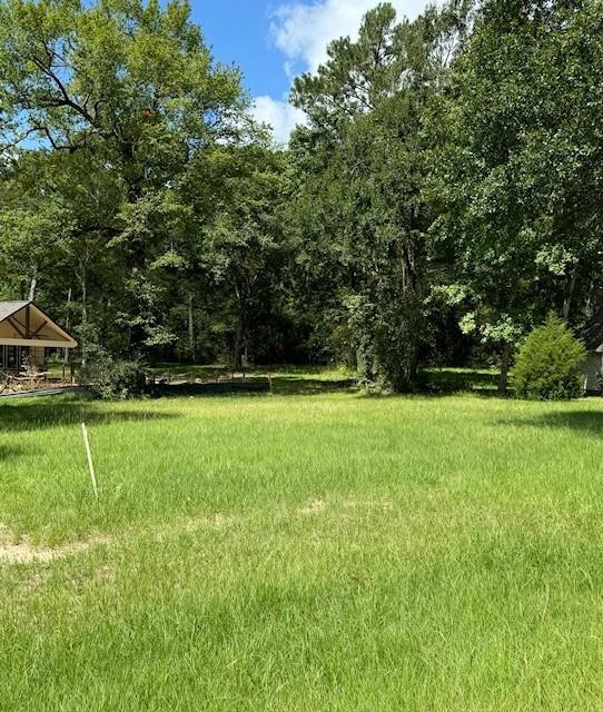 a view of green field