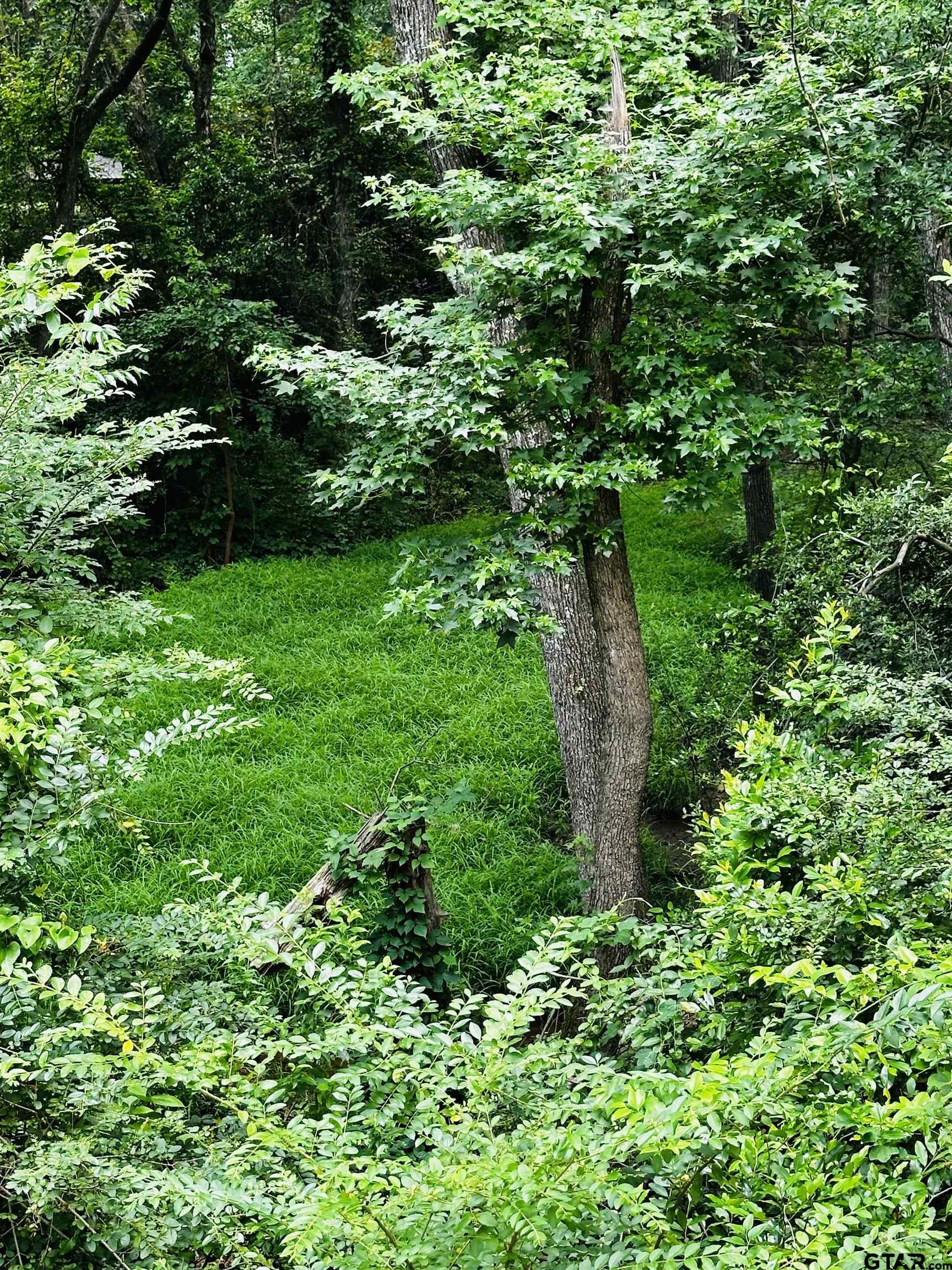 a view of a garden