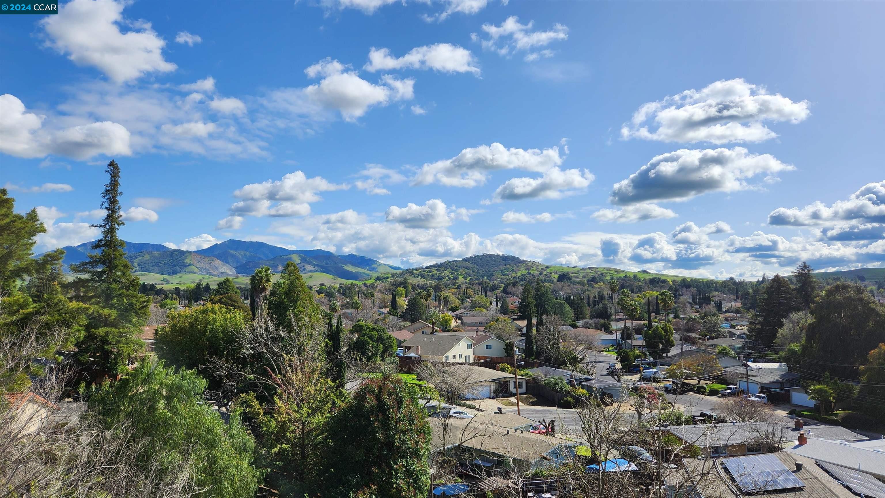 a city view with lot of flower plants