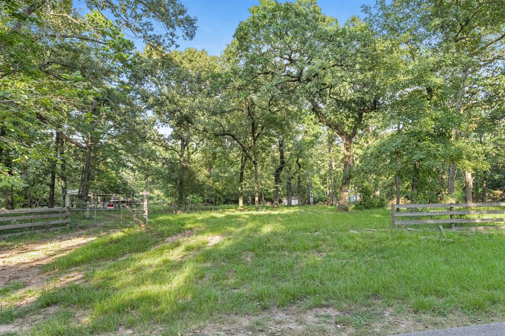 a view of a park with a tree