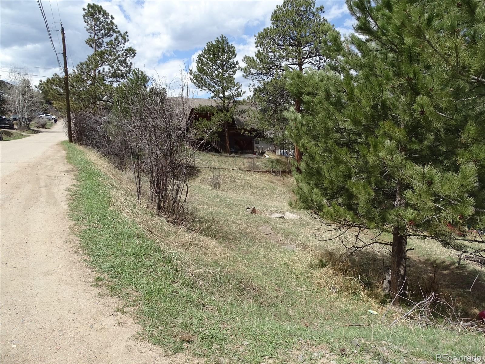 a view of a yard with large trees