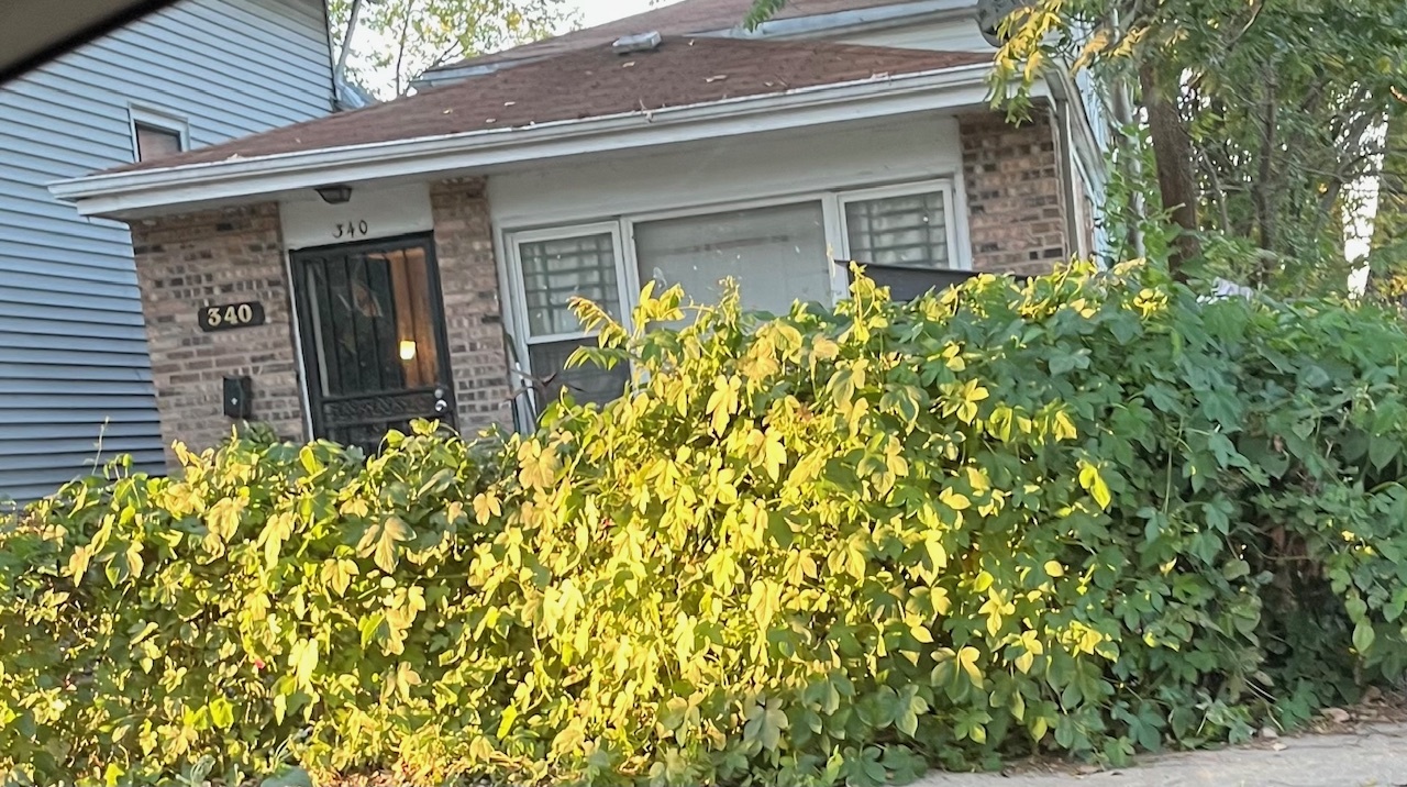 a front view of a house with a large tree