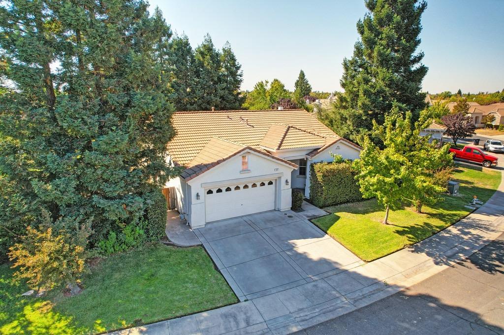 a view of a house with a yard and a large tree