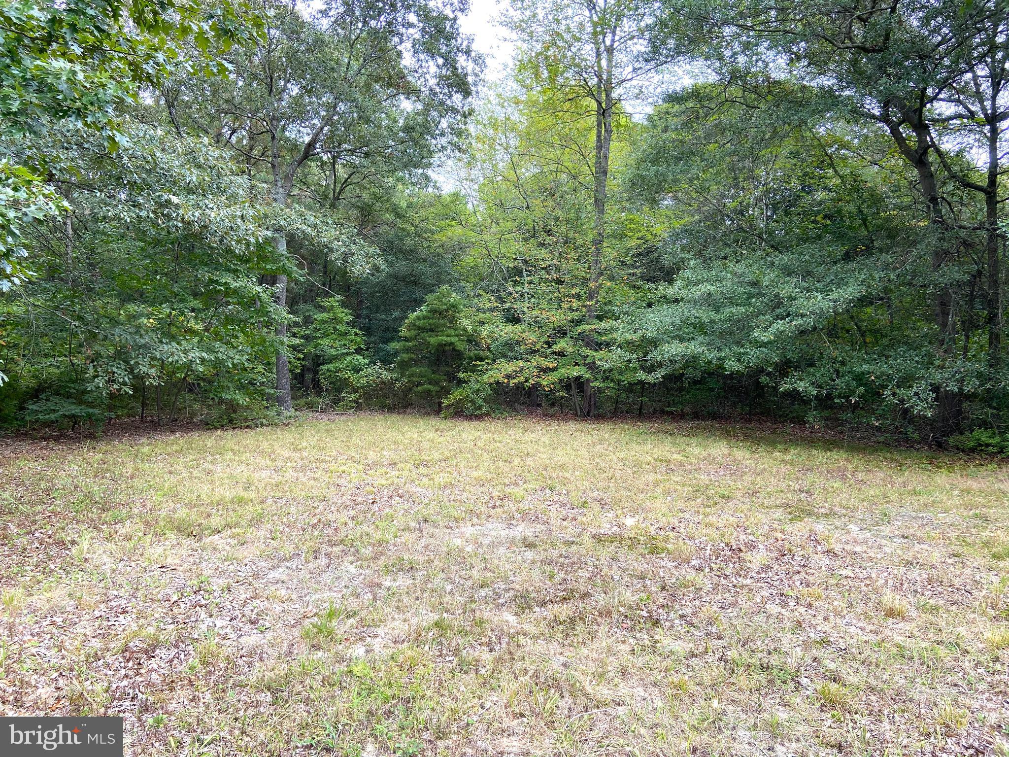 a view of a yard with a trees